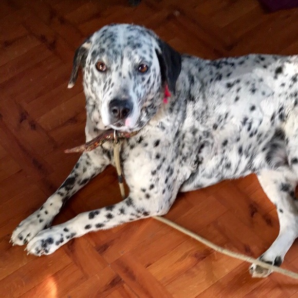 Meet your Posher,Hilda Posh Ambassador - Picture 6 of 7